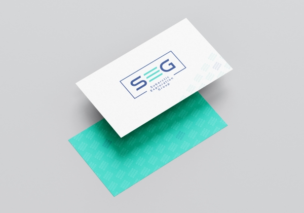 segas_design_04.jpg